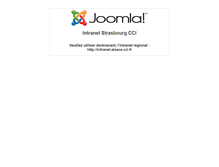 Tablet Screenshot of intranet.strasbourg.cci.fr